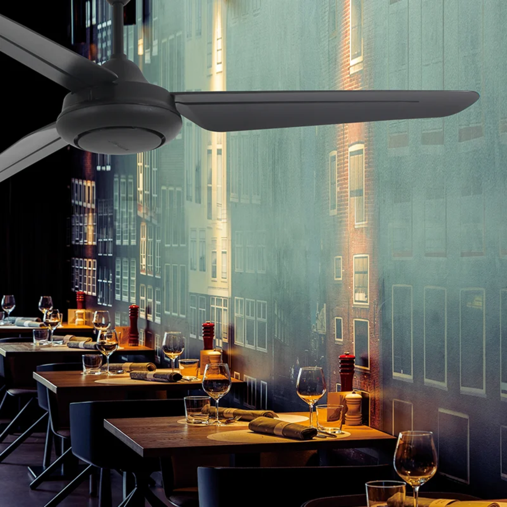 Ceiling Fans 54" B3