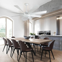 Ceiling Fans 60" Olympia