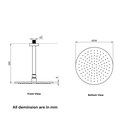 Ceiling Mount Head