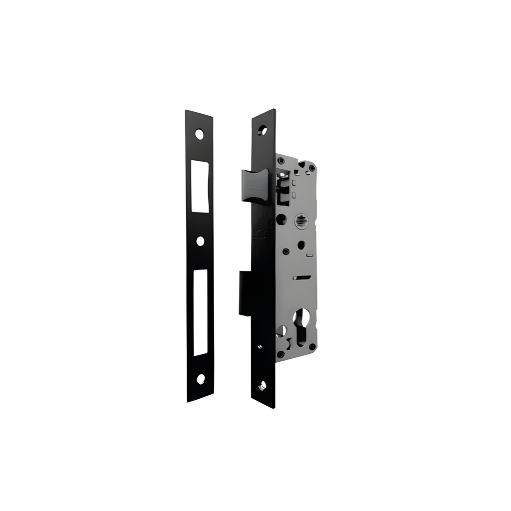 Mortise Locks
